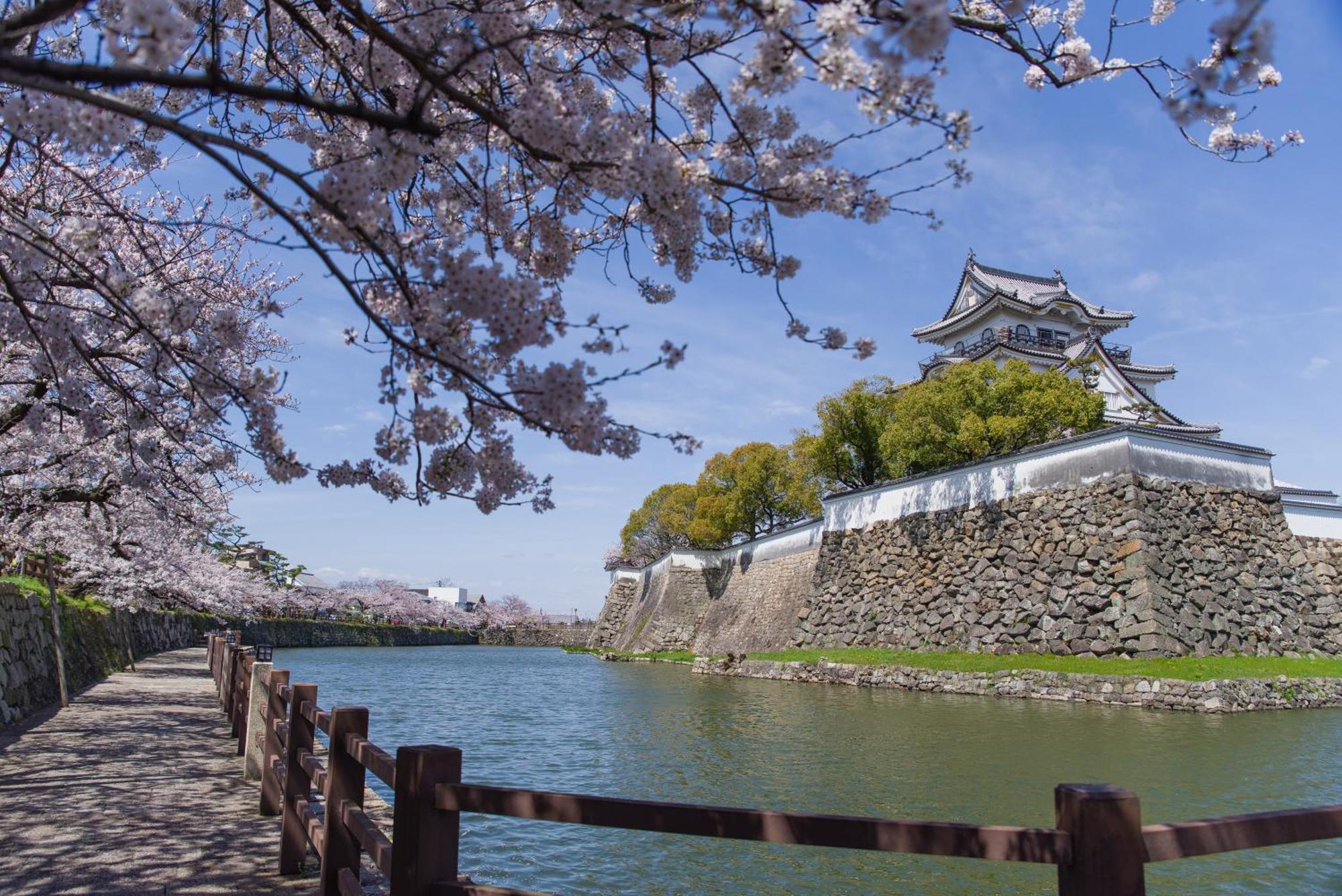 Appartamento Namba Shinsaibashi 10 Mins Osaka Castle　East Esterno foto
